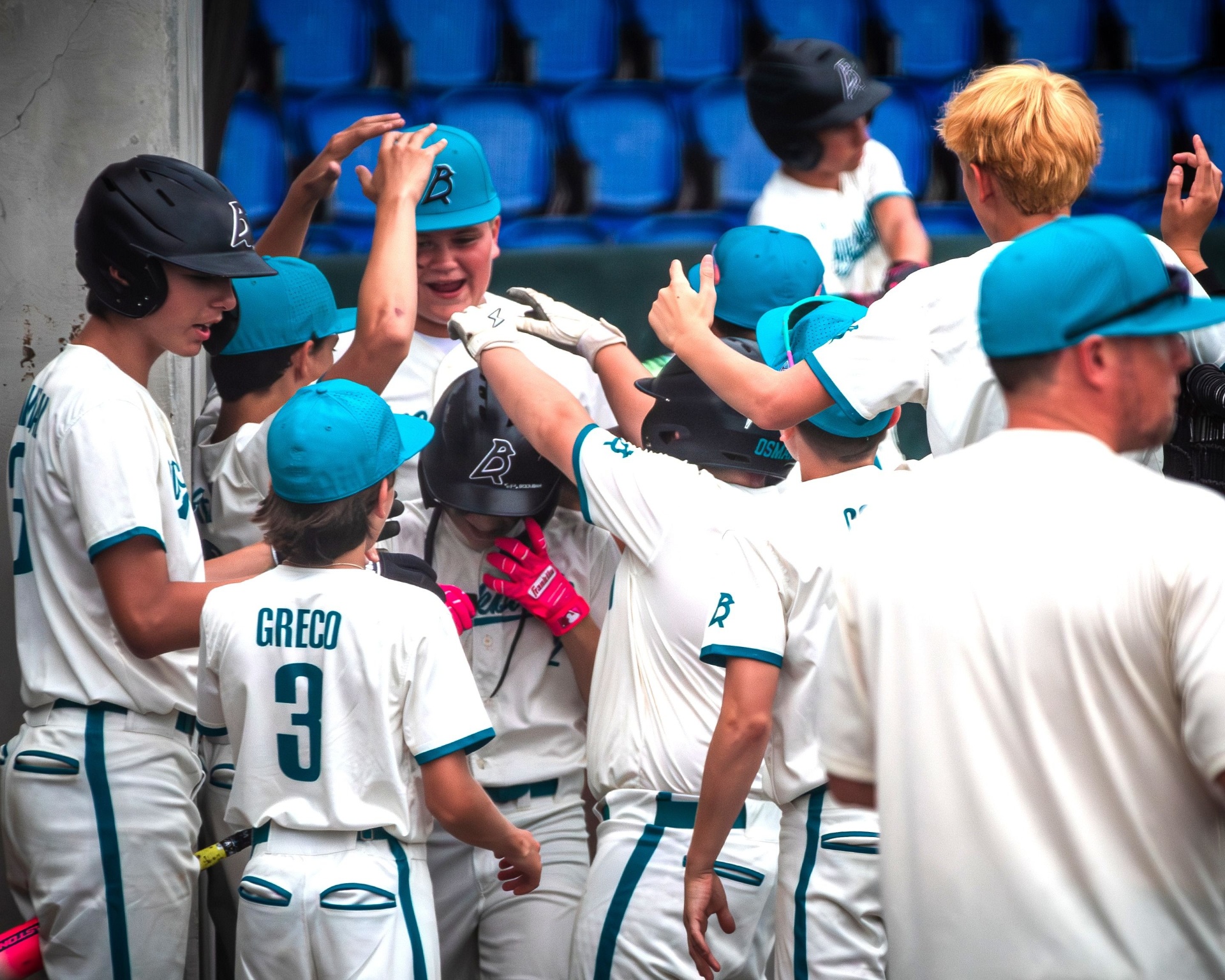 Blackbird players celebrating in the dugout